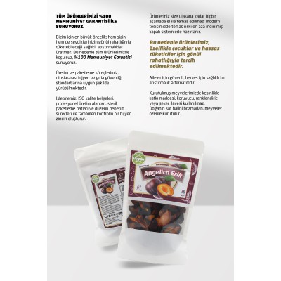 Kurutulmuş Angelica Erik